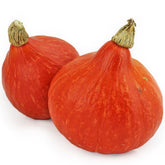 ZUCCA DI HOKKAIDO FRESCA BIO (ca. 1,00 kg)